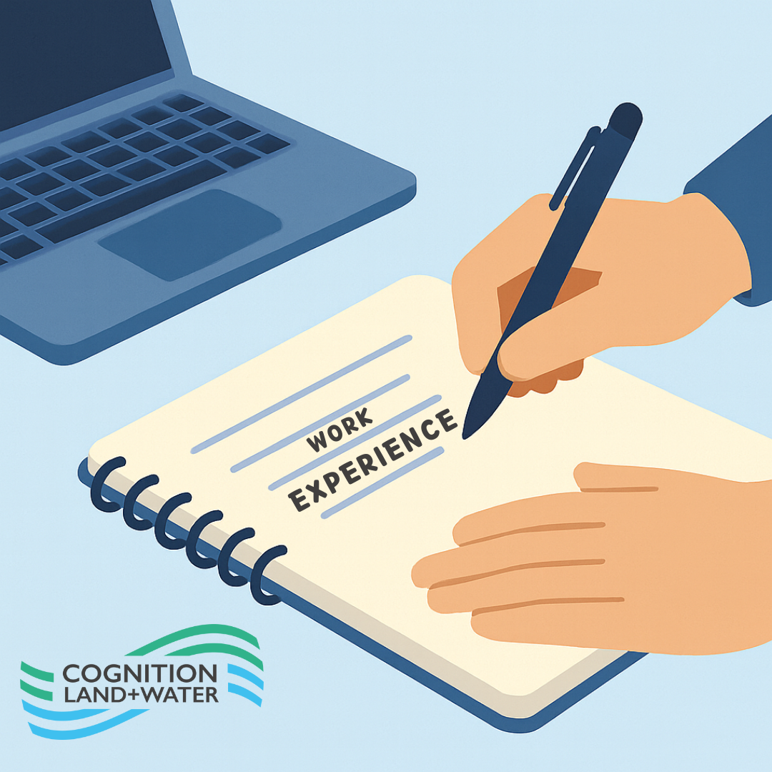 Work Experience at Cognition